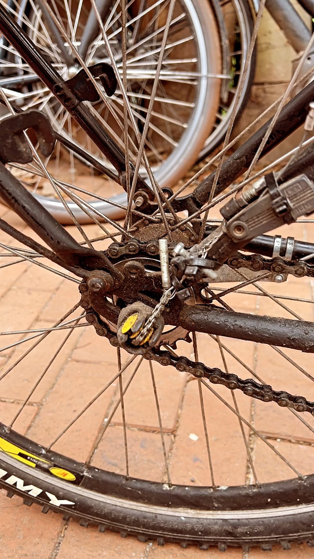 De lente is onderweg! 😍😍